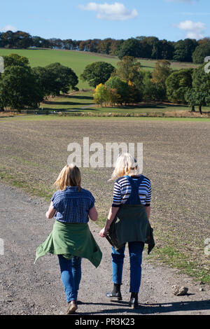 2 femmina gli escursionisti a piedi su del The Pennine Way, su un luminoso estati soleggiate giorno vicino Wortley, South Yorkshire, Inghilterra Foto Stock