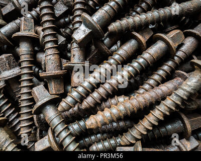 Strato di grandi vecchie viti Foto Stock