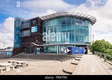 2 Giugno 2018: Plymouth, Devon, Regno Unito - National Marine Aquarium. Foto Stock