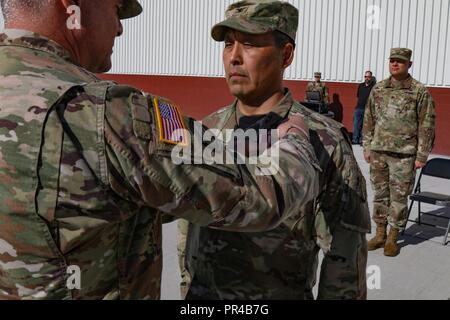 Brig. Gen. Giuseppe Streff, Alaska esercito nazionale Guard commander, presenta Col. Don Wayne, un servizio meritevole medaglia per il suo servizio mentre al comando della trentottesima truppa il comando in corrispondenza di una Guardia nazionale appendiabiti su base comune Elmendorf-Richardson, Alaska, Sett. 9, 2018. Foto Stock