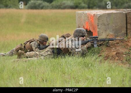 Lancia Cpl. Hayden R. Hayes, 3° plotone, Bravo Company, caserma marini di Washington D.C., comunica con il suo team di fuoco durante un live-formazione antincendio esercizio per il Fire Team Leader di corso presso Marine Corps base Quantico, Virginia, Sett. 10, 2018. Il corso è composto di più live-fire eventi utilizzando numerosi sistemi di armamenti, pattuglie e difensiva e offensiva trapani. Si tratta di un corso destinato a rafforzare la piccola unità di leadership tra i Marines a prepararli per la flotta forze Marine, pur concentrandosi sul perfezionamento delle competenze di fanteria. Foto Stock