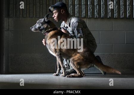 Stati Uniti Air Force Staff Sgt. Christopher Bennett, nativo di New Orleans, un militare di cane da lavoro gestore assegnato all'673rd delle forze di sicurezza Squadron, funziona con Kimba, un belga Malinois, in corrispondenza di uno dei canili a base comune Elmendorf-Richardson, Alaska, Sett. 11, 2018. Kimba è prossimi al pensionamento dopo dieci anni di servizio militare. Foto Stock