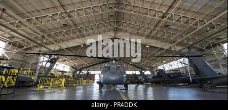 Stati Uniti Esercito UH-60 i falchi nero assegnato al 5° Battaglione (supporto generale), 159Reggimento di aviazione a sedersi in un hangar in preparazione per l'uragano Florence a base comune Langley-Eustis, Virginia, Sett. 11, 2018. Insieme con la quinta Btn. (GS), membri del VII Trasporto Bridage inoltre riposizionato nave alla terza porta a posizioni più sicure. Foto Stock