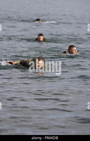 I soldati dell'Ingegnere xli Battaglione, 2° Brigata Team di combattimento, decimo Montagna divisione, condurre una formazione Helocast esercizio nel fiume nero baia vicino a Porto di astucci, New York, 14 settembre 2018. Soldati di B Company, 3-10 Supporto generale del battaglione di aviazione, decimo combattere la Brigata Aerea, a condizione che il supporto aereo per la missione. Foto Stock