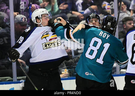 Loveland, Colorado, Stati Uniti d'America. 28 Sep, 2018. San Jose Barracuda defenceman Jeremy Roy (81) e Colorado Eagles defenceman Turner Ottenbreit (79) mescolare fino al secondo periodo della loro AHL hockey gioco presso la Budweiser Eventi Centro in Loveland, Colorado. San Jose ha vinto 5-3. Russell Hons/CSM/Alamy Live News Foto Stock