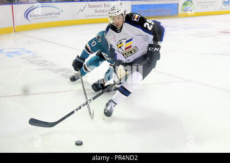 Loveland, Colorado, Stati Uniti d'America. 28 Sep, 2018. Colorado Eagles avanti Caleb Herbert (29) vince una gara per il puck nella loro AHL hocke partita contro il San Jose Barracuda presso la Budweiser Eventi Centro in Loveland, Colorado. San Jose ha vinto 5-3. Russell Hons/CSM/Alamy Live News Foto Stock