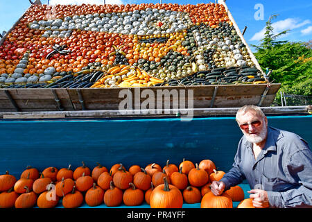 Slindon Village, West Sussex, Regno Unito. Il 29 settembre 2018. Annuale di Display di zucca Robin Upton sorge di fronte al suo display di zucca, aprendo la prossima settimana, che questo anno che commemora il centesimo anniversario della RAF, il centenario dell'armistizio e la sua famiglia nei 50 anni di crescita di zucche. Esso si svolge da ottobre a novembre (peaking intorno Halloweoen) e comprende circa un centinaio di diverse varietà di zucca e squash.Credit Gary Blake/Alamy Live News Foto Stock