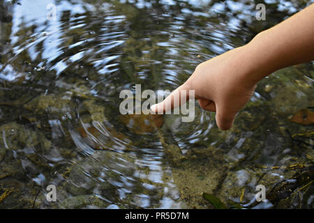 Close-up di donna mano teneramente toccando, contraendo pulito fresco di acqua dolce/Turismo, uno stile di vita attivo, natura e problemi di inquinamento del concetto. Foto Stock