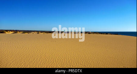 Ningaloo Reef dune di sabbia circondate da spinifex e il Parco Nazionale di Cape Range Foto Stock