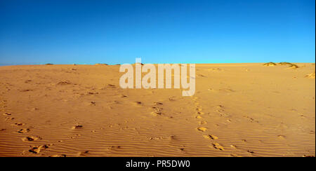 Ningaloo Reef dune di sabbia circondate da spinifex e il Parco Nazionale di Cape Range Foto Stock