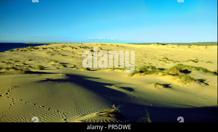 Ningaloo Reef dune di sabbia circondate da spinifex e il Parco Nazionale di Cape Range Foto Stock