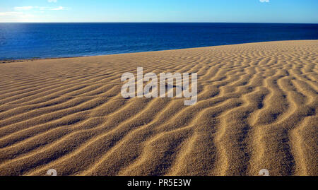 Ningaloo Reef dune di sabbia circondate da spinifex e il Parco Nazionale di Cape Range Foto Stock