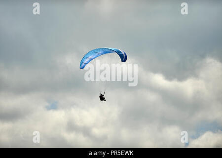 Parapendio volare al di sopra della rivolta a ovest in scarpata in pendenza su Dunstable Downs, Bedfordshire, Regno Unito. Chiltern Hills. Il parapendio. Foto Stock