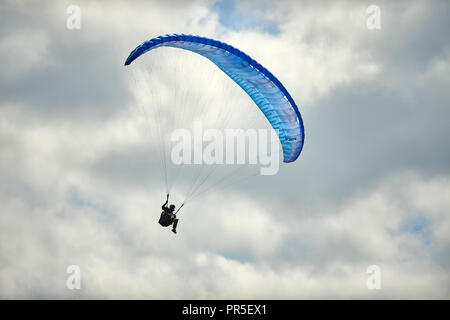 Parapendio volare al di sopra della rivolta a ovest in scarpata in pendenza su Dunstable Downs, Bedfordshire, Regno Unito. Chiltern Hills. Il parapendio. Foto Stock