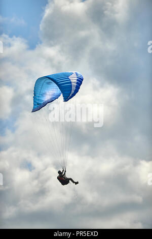 Parapendio volare al di sopra della rivolta a ovest in scarpata in pendenza su Dunstable Downs, Bedfordshire, Regno Unito. Chiltern Hills. Il parapendio. Foto Stock