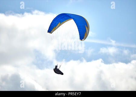 Parapendio volare al di sopra della rivolta a ovest in scarpata in pendenza su Dunstable Downs, Bedfordshire, Regno Unito. Chiltern Hills. Il parapendio. Foto Stock