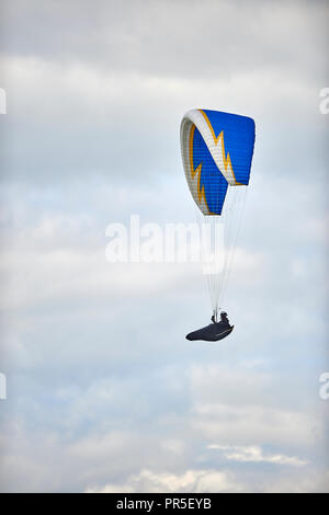 Parapendio volare al di sopra della rivolta a ovest in scarpata in pendenza su Dunstable Downs, Bedfordshire, Regno Unito. Chiltern Hills. Il parapendio. Foto Stock