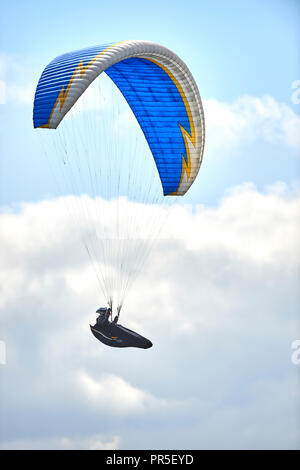 Parapendio volare al di sopra della rivolta a ovest in scarpata in pendenza su Dunstable Downs, Bedfordshire, Regno Unito. Chiltern Hills. Il parapendio. Foto Stock