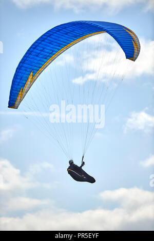 Parapendio volare al di sopra della rivolta a ovest in scarpata in pendenza su Dunstable Downs, Bedfordshire, Regno Unito. Chiltern Hills. Il parapendio. Foto Stock