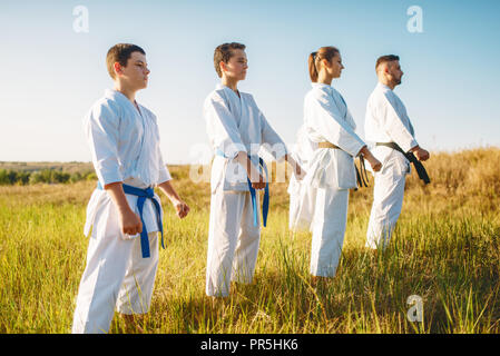 Gruppo di Karate con master in bianco kimono, allenamento nel campo estivo. Arte Marziale outdoor training, tecnica pratica Foto Stock