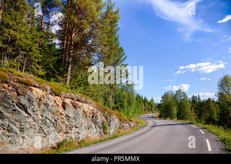 Avvolgimento scenic strada forestale della Contea di Telemark della Norvegia meridionale su un luminoso giorno di estate Foto Stock