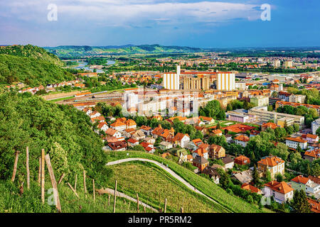 I vigneti in collina Piramida e la città di Maribor, abbassare la Stiria, Slovenia Foto Stock