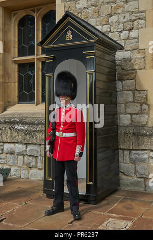 Royal Guard. Queens guardia. Protezione per uso domestico. Sentinella. grenedier guardia. Bearskin. garitta. Foto Stock