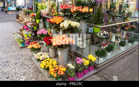 Piccolo fioraio display con le rose e i crisantemi in vendita. Foto Stock