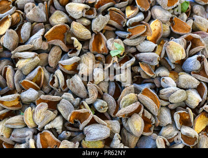 Rifiuti di mandorle popolare come alimentazione di bestiame per i bovini, ovini e suini ,spazio copia completa del telaio sullo sfondo della natura Foto Stock