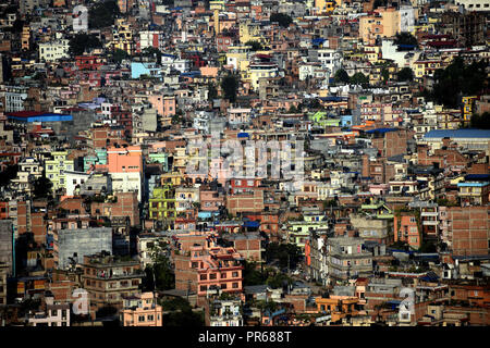 Swan su un lago di Brooklyn Foto Stock