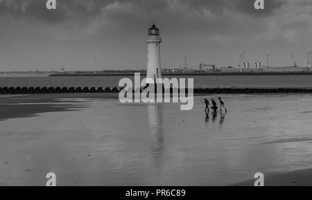 Il faro di New Brighton, Merseyside, Regno Unito Foto Stock