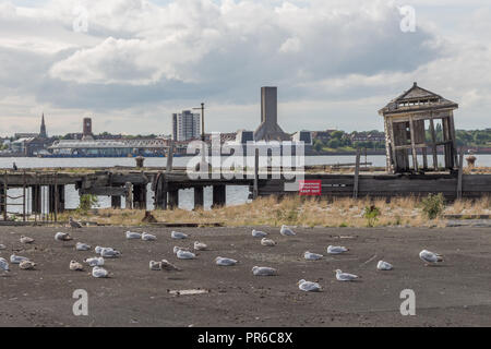 Strutture abbandonate a Liverpool docks con Birkenhead in background, 2015. Foto Stock