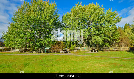 Fiume FINDHORN PONTE DULSIE MORAY Scozia il PICNIC e visualizzazione di area prospiciente il ponte Foto Stock