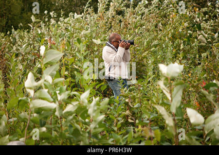 Fotografo in alta vegetazione scattare foto Foto Stock