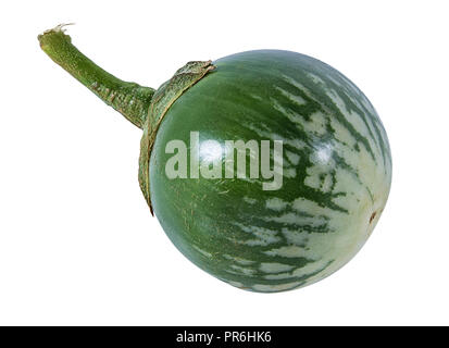 Melanzane tailandesi Kermit, o Lao verde-striped melanzane isolato Foto Stock