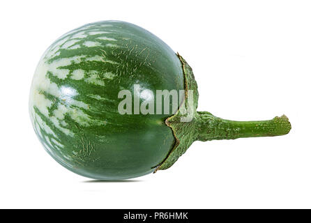 Melanzane tailandesi Kermit, o Lao verde-striped melanzane isolato Foto Stock