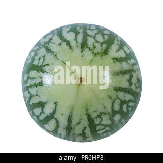 Melanzane tailandesi Kermit, o Lao verde-striped melanzane isolato Foto Stock