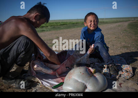 Un capretto tenendo entrambe le zampe wincing visto mentre il nonno di aprire una pecora davanti alla loro casa vicino alla città di Bayangol nell'Övörkhangai Provincia, Mongolia meridionale. Foto Stock