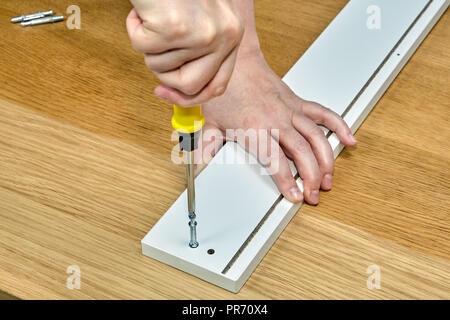 Joiner inserite spine mobili del connettore per il dispositivo di bloccaggio a camma i raccordi. Foto Stock