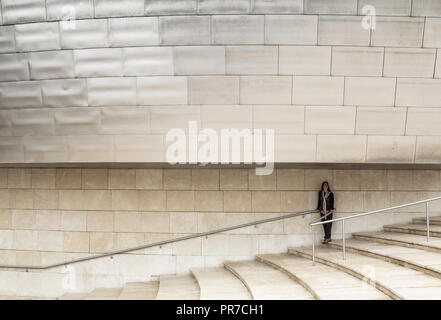 Museo Guggenheim, Bilbao, Paesi Baschi Foto Stock