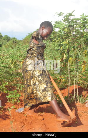 Buyende, Uganda. 29th, Settembre, 2018. Nambi Scovia da 42 anni residente del villaggio di Butaaswa nel quartiere Buyende comprovanti che la disabilità non è incapacità come stava usando le sue gambe di alghe nel suo giardino di manioca. Questo è stato prima che le celebrazioni del suo 42o compleanno con il Ministro del Turismo di Busoga unito Hellen Namutamba (non in foto) che aveva visitato il suo. Nambi, una madre di due figli, non hanno entrambi i bracci ma dimostra al mondo che lei è in grado di lavare i suoi vestiti, fare sartoria, cucinare e occuparsi del suo giardino a procurarsi il cibo. Credito: Donald Kiirya/Alamy Live News. Foto Stock