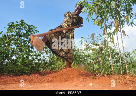 Buyende, Uganda. 29th, Settembre, 2018. Nambi Scovia da 42 anni residente del villaggio di Butaaswa nel quartiere Buyende comprovanti che la disabilità non è incapacità come stava usando le sue gambe di alghe nel suo giardino di manioca. Questo è stato prima che le celebrazioni del suo 42o compleanno con il Ministro del Turismo di Busoga unito Hellen Namutamba (non in foto) che aveva visitato il suo. Nambi, una madre di due figli, non hanno entrambi i bracci ma dimostra al mondo che lei è in grado di lavare i suoi vestiti, fare sartoria, cucinare e occuparsi del suo giardino a procurarsi il cibo. Credito: Donald Kiirya/Alamy Live News. Foto Stock