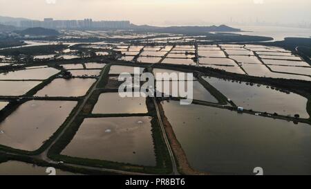 Yuen Long campo nel tramonto, hong kong campagna Foto Stock