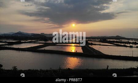 Yuen Long campo nel tramonto, hong kong campagna Foto Stock