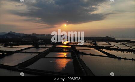 Yuen Long campo nel tramonto, hong kong campagna Foto Stock