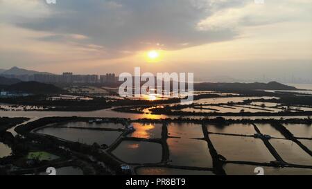 Yuen Long campo nel tramonto, hong kong campagna Foto Stock