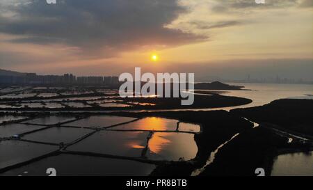 Yuen Long campo nel tramonto, hong kong campagna Foto Stock