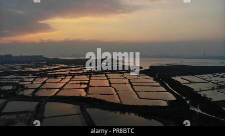 Yuen Long campo nel tramonto, hong kong campagna Foto Stock