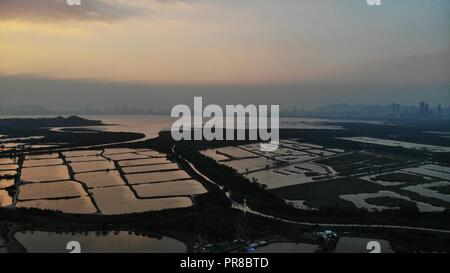 Yuen Long campo nel tramonto, hong kong campagna Foto Stock