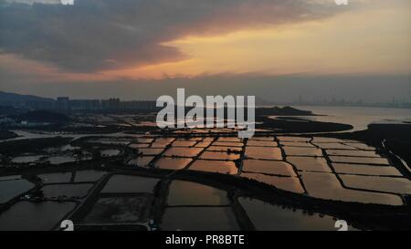 Yuen Long campo nel tramonto, hong kong campagna Foto Stock